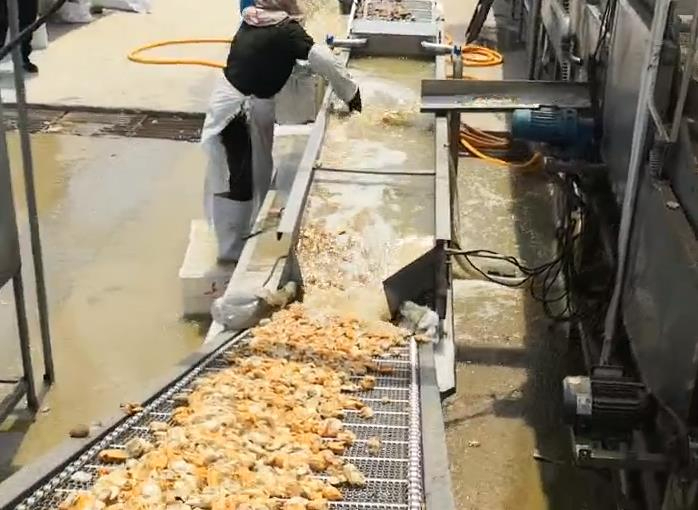  关于公司网页有“极限词”的失效声明