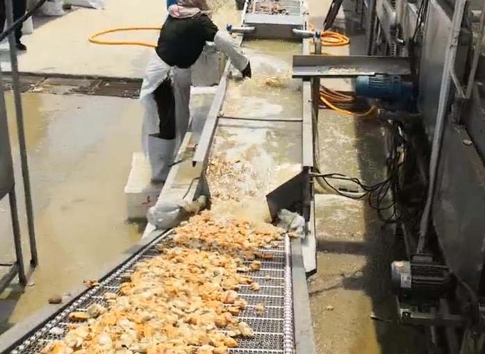 贝类脱壳机.jpg 贝类脱壳机.jpg